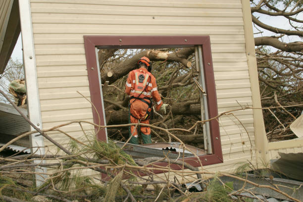 Best Tree and Shrub Care  in Lake Arrowhead, CA